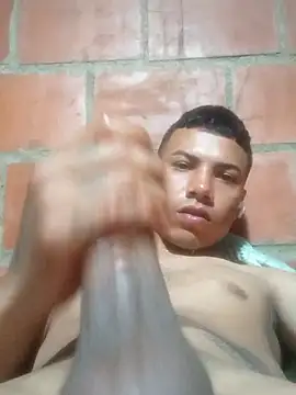 eldelmienbrogrueso webcam