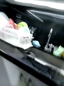 jov_and_thomas webcam