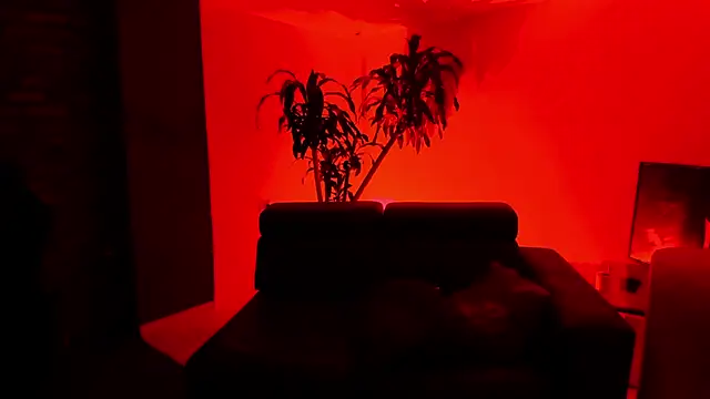 Spaceboys18 Live Webcam on Stripchat