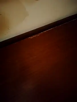 Virginass2000 webcam