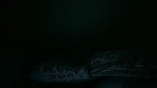 pornstarbrezillian webcam