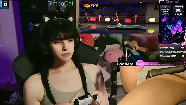 BimboCat webcam