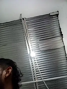 Kingbigcock23cm webcam