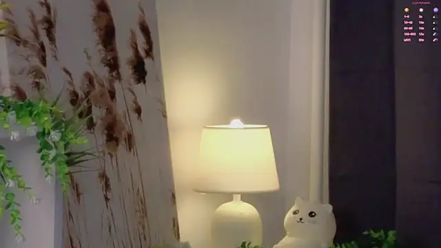 VerllineUrquidez webcam