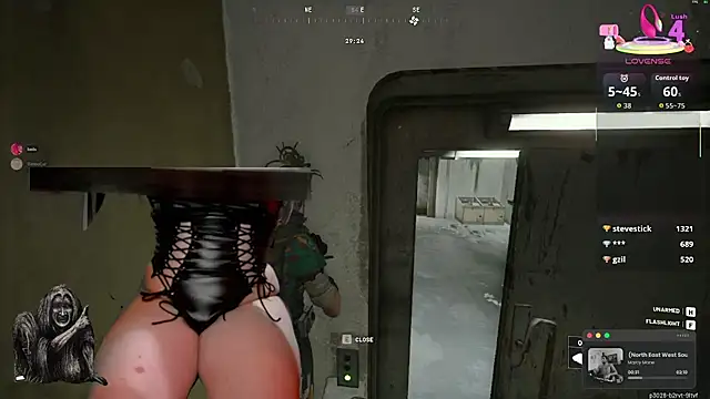 baileymonarch webcam