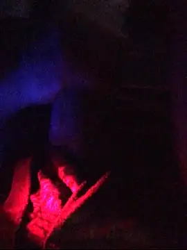 tericmidnight webcam