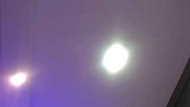 Aurora_blossom__ webcam