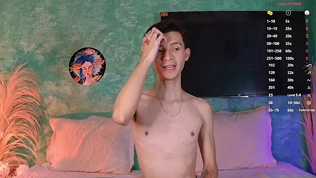 VicenteFerrer webcam