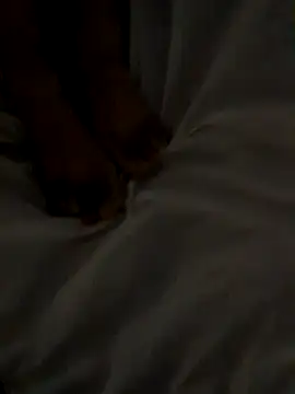 Brandi_Braulio webcam