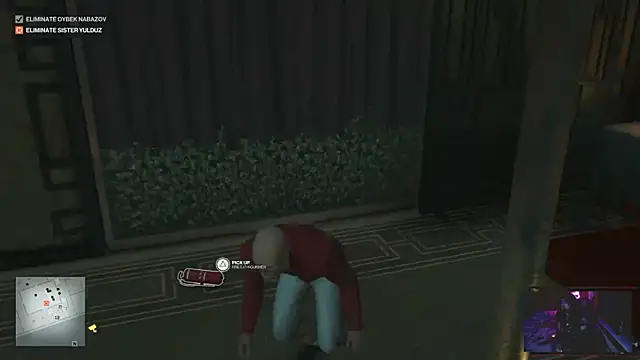 Rocker_Assassin_WASP_FAN webcam