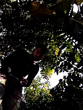 bigdaddyboy46 webcam