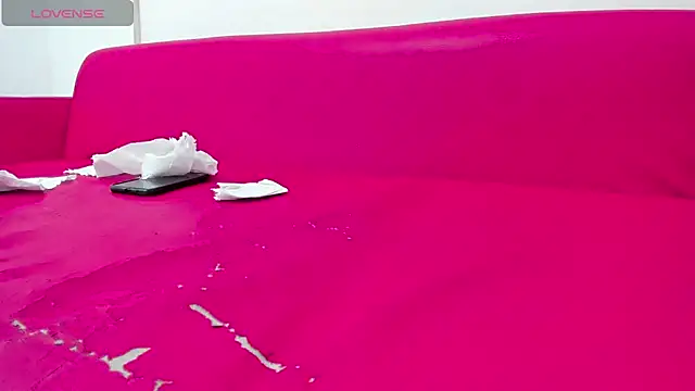 destruction_group_69 webcam