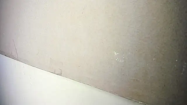 BBW_LATIN_BIGASSS webcam