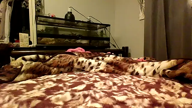 evie_starr - Evie_starr's free webcam