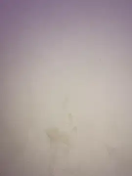 Anyhot_latina webcam