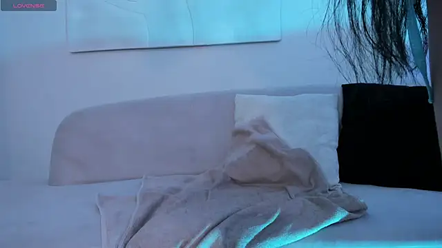 LaurentConnor webcam