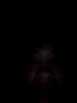 spring-spring - Spring-spring's free webcam