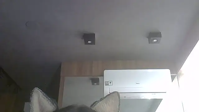 SkinnyKitten webcam
