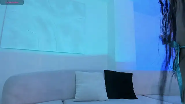 LaurentConnor webcam