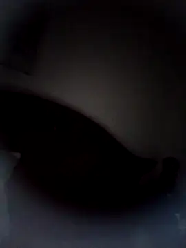 Preview of shyguy8569