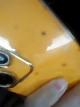 yaraa49 - Yaraa49's free webcam