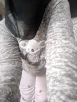 SightsedMuscadet webcam