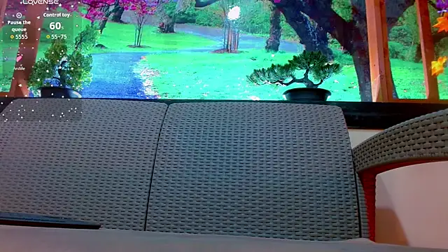 britanny_noroeste webcam