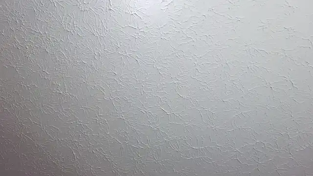 felipecams123 webcam