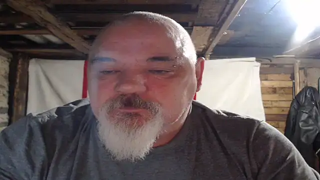 Newfiesausage1972 webcam