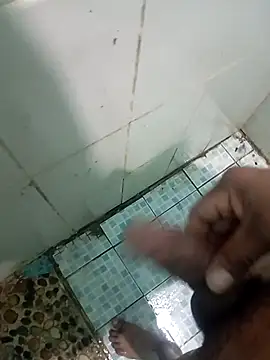 Paradivertirnonacimos webcam