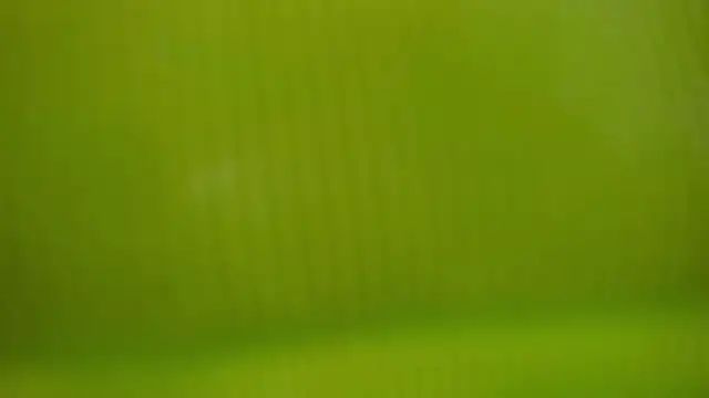 maximo_torricelli webcam