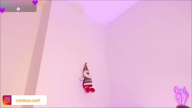 CATALEYA_CAST1 webcam