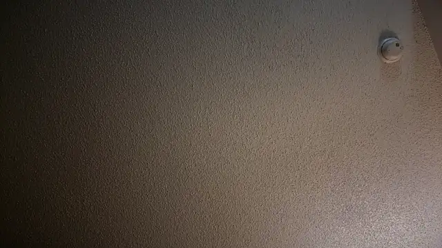 prettypurplep - Prettypurplep's free webcam