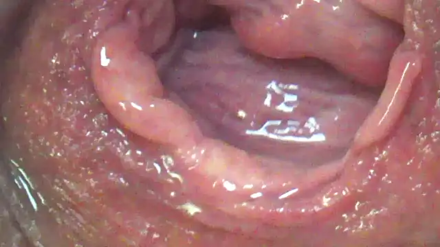 sex chat for free RitaMinx