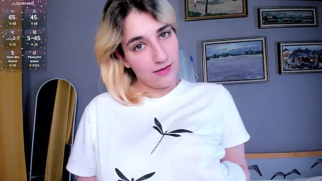 tidelunar - TideLunar's free webcam