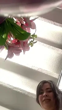 chat room online Monserrat J