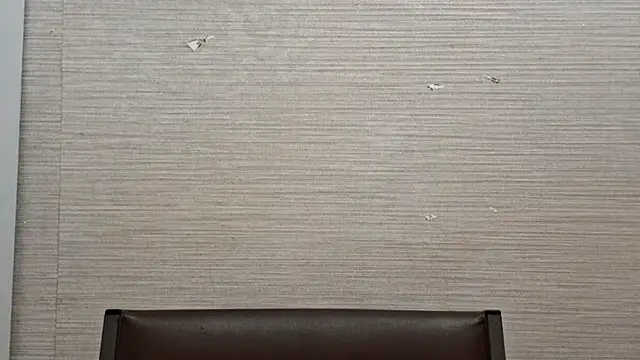 astravale - AstraVale's free webcam