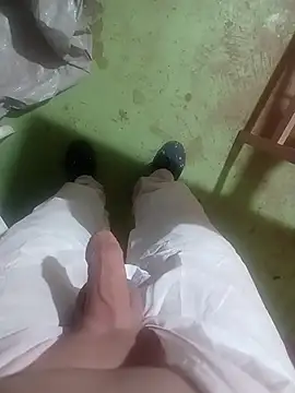 GeilerSchweizer webcam