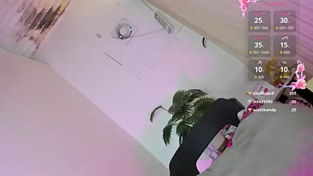 Transuncutjelay webcam