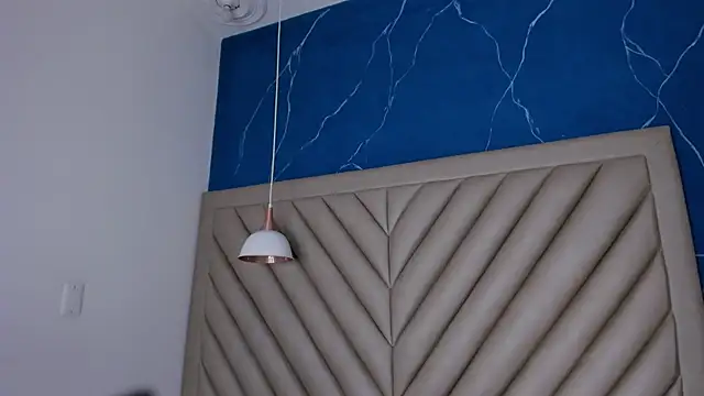 Ibbie_drastic webcam