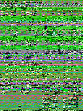 CasadoLutadorBigStuds webcam