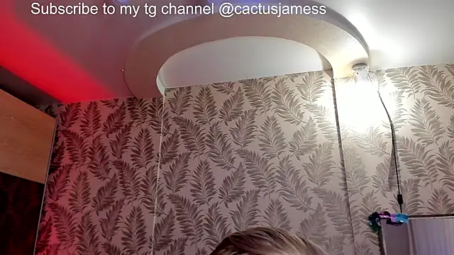 Cactus__James webcam