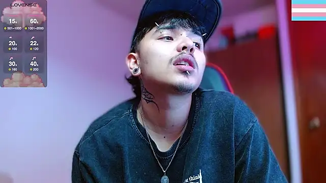 Hgp3riodictabl3 webcam