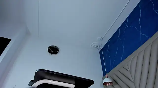 Ibbie_drastic webcam