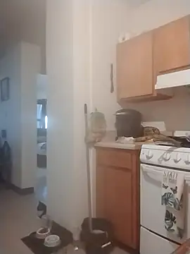 ReallyReallyReal webcam