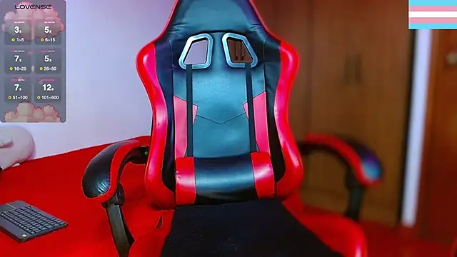 Hgp3riodictabl3 webcam