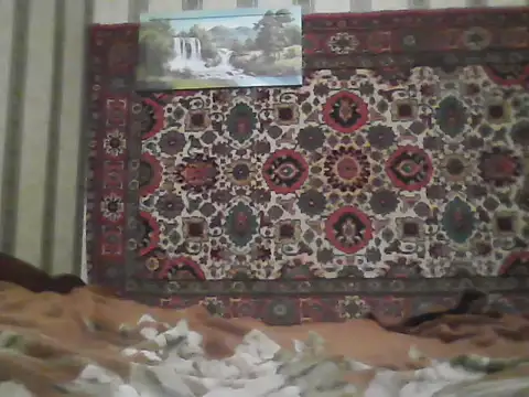 AlferezzSolvajo webcam