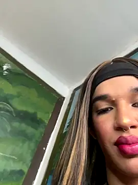 Terra_sunlight webcam