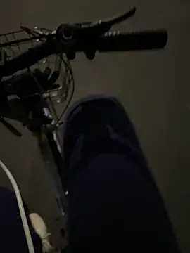 SL_NIKI_PUBLIC webcam