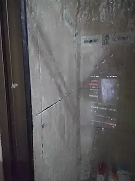 LissaThompsom webcam